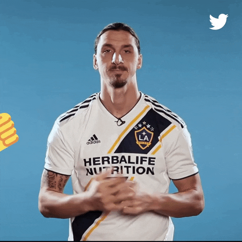 giphy__2_.gif